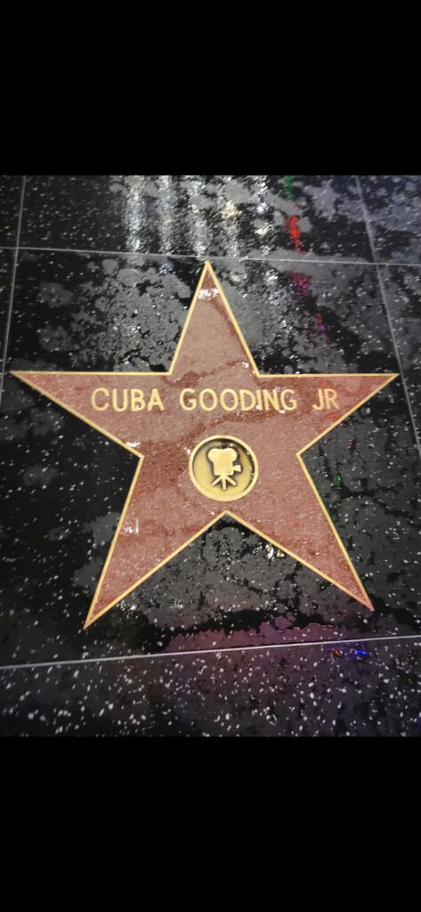 Hollywood Walk of Fame editorial photograph for Socialbilitty Trade Desk